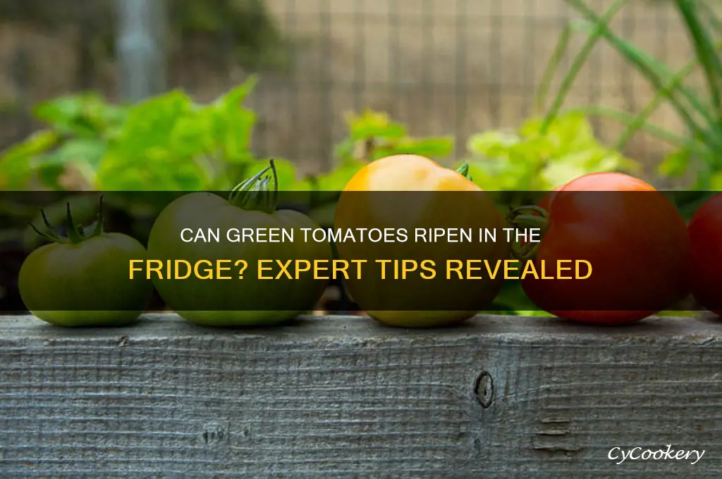 will green tomatoes ripen in the refrigerator
