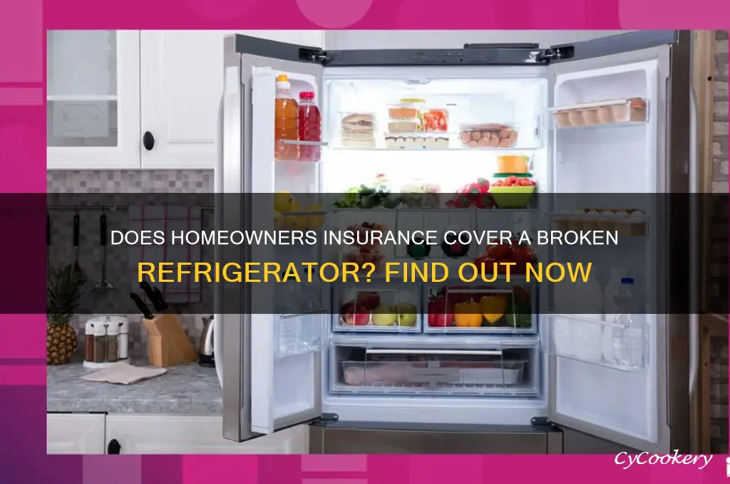 will home owners insurance cover busted refrigerator