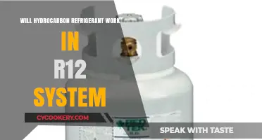 Can Hydrocarbon Refrigerants Replace R12 in Existing Systems?