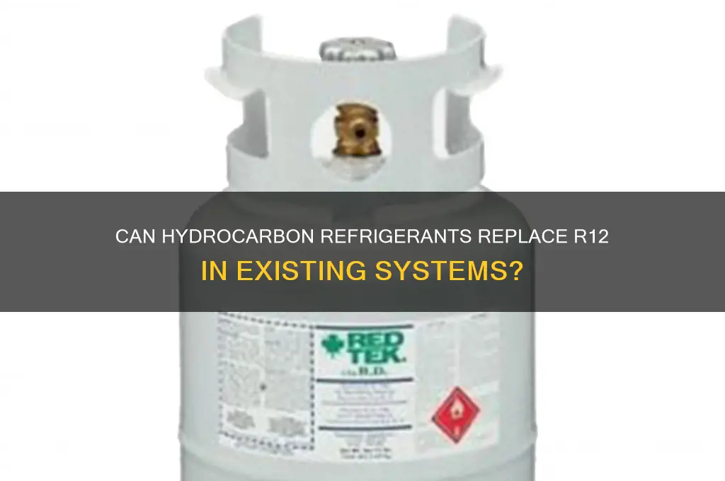 will hydrocarbon refrigerant work in r12 system