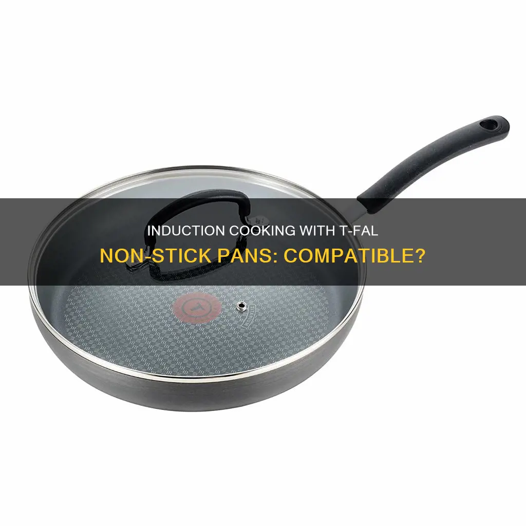 will induction work on a t-fal non stick pan