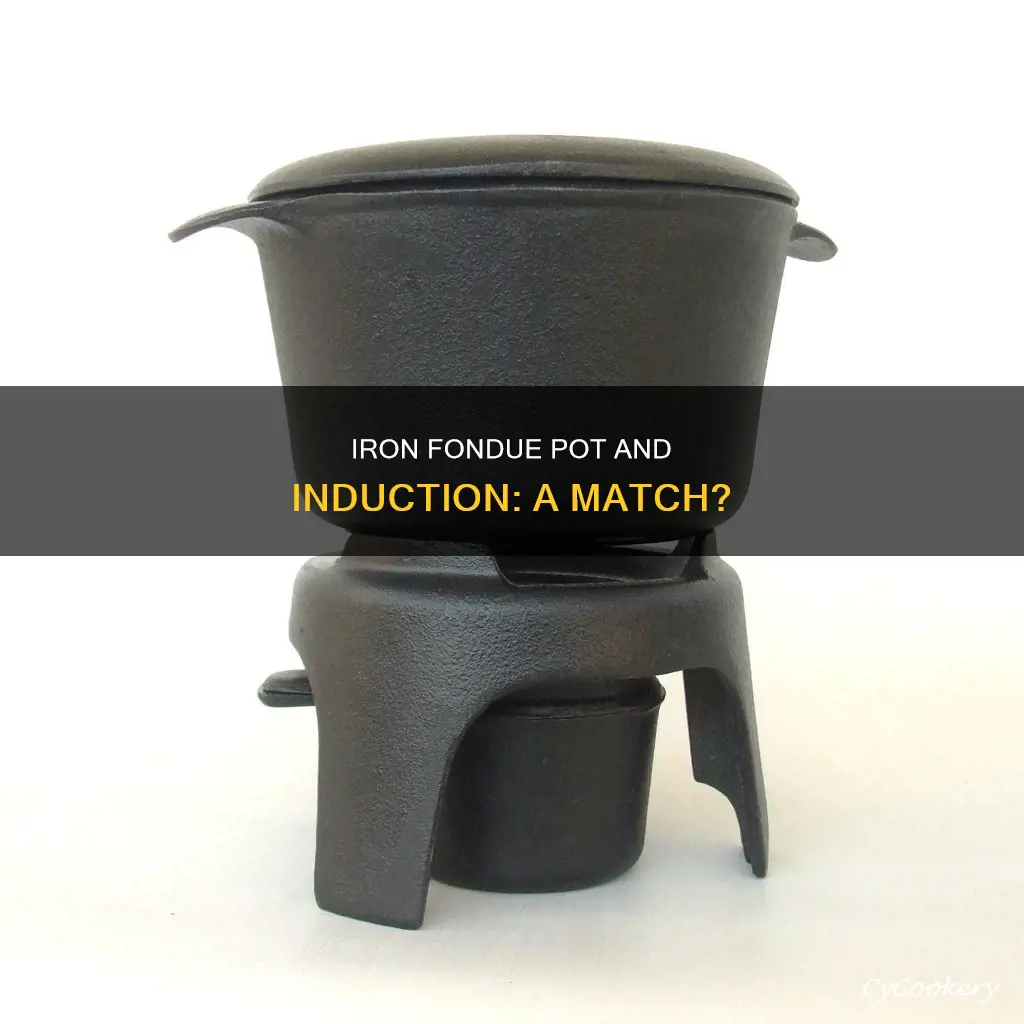 will iron fondue pot work on induction