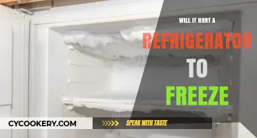 Can Freezing Temperatures Damage Your Refrigerator? What You Need to Know