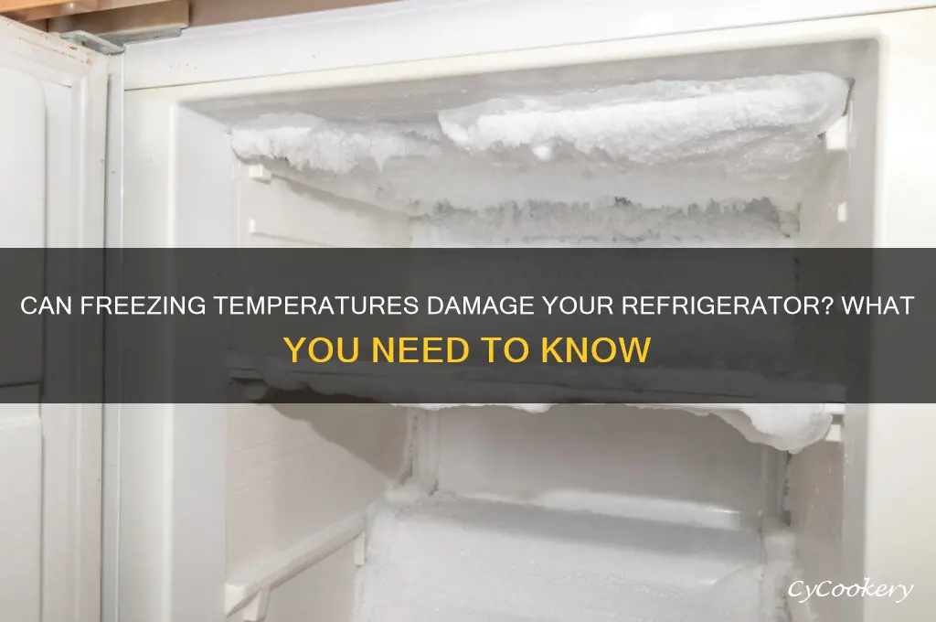 will it hurt a refrigerator to freeze