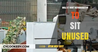 Unused Refrigerator Concerns: Will Sitting Idle Cause Damage?
