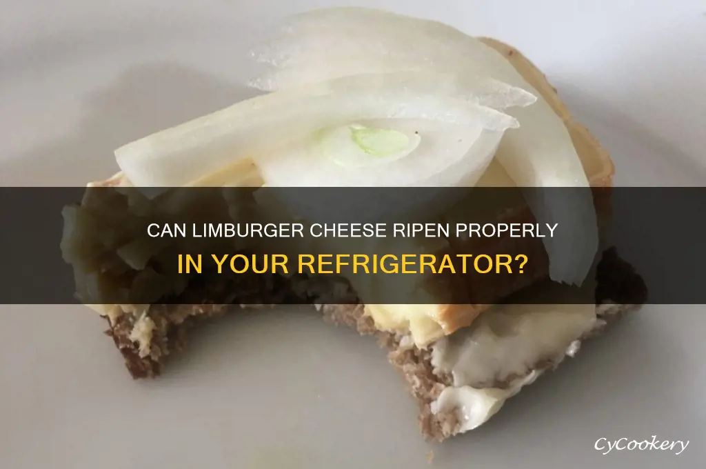 will limburger cheese ripen in the refrigerator