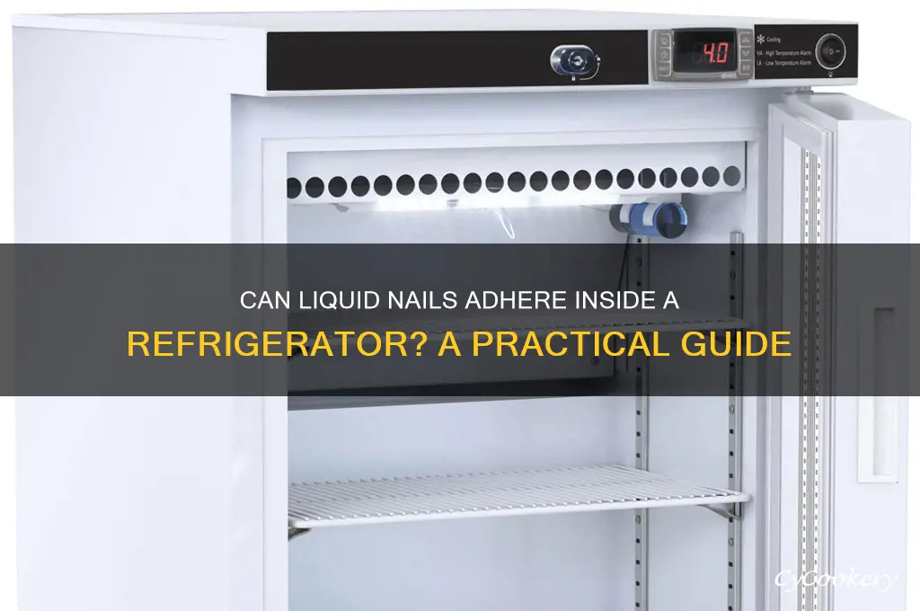 will liquid nail stick inside a refrigerator