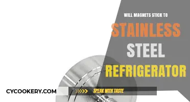 Will Magnets Stick to Stainless Steel Refrigerators? Here's the Answer