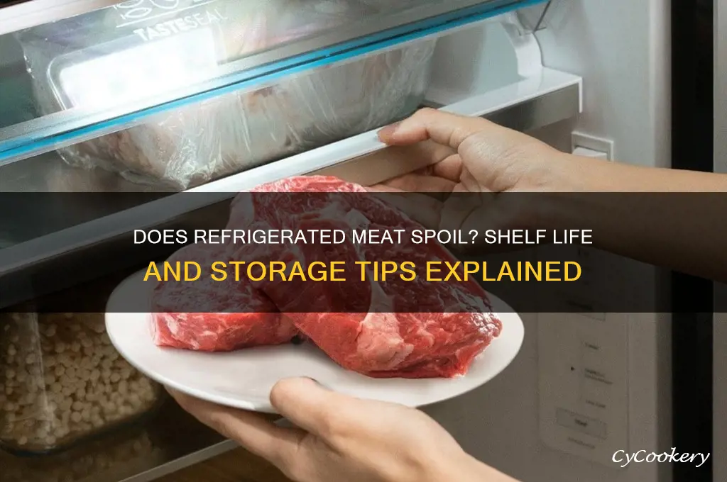 will meat go bad in the refrigerator