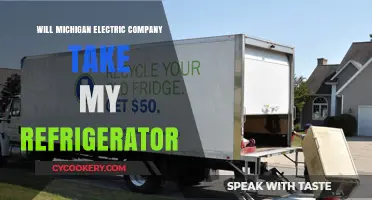 Can Michigan Electric Companies Accept Your Old Refrigerator for Recycling?