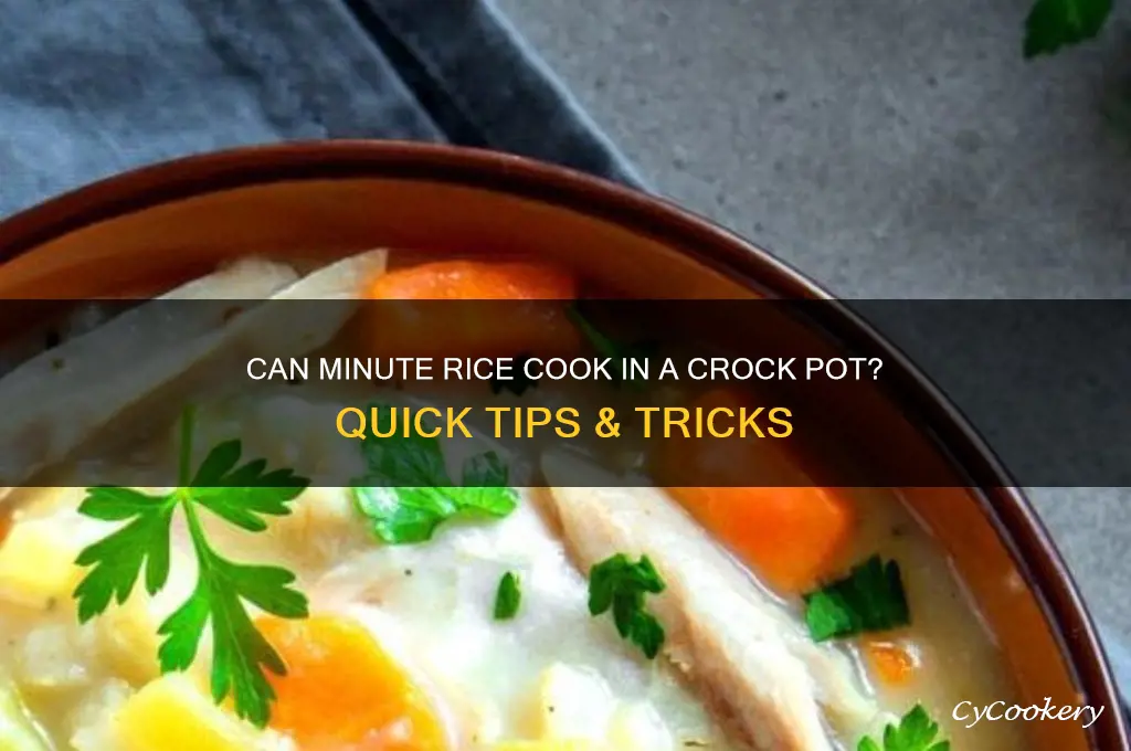 will minute rice cook in crock pot