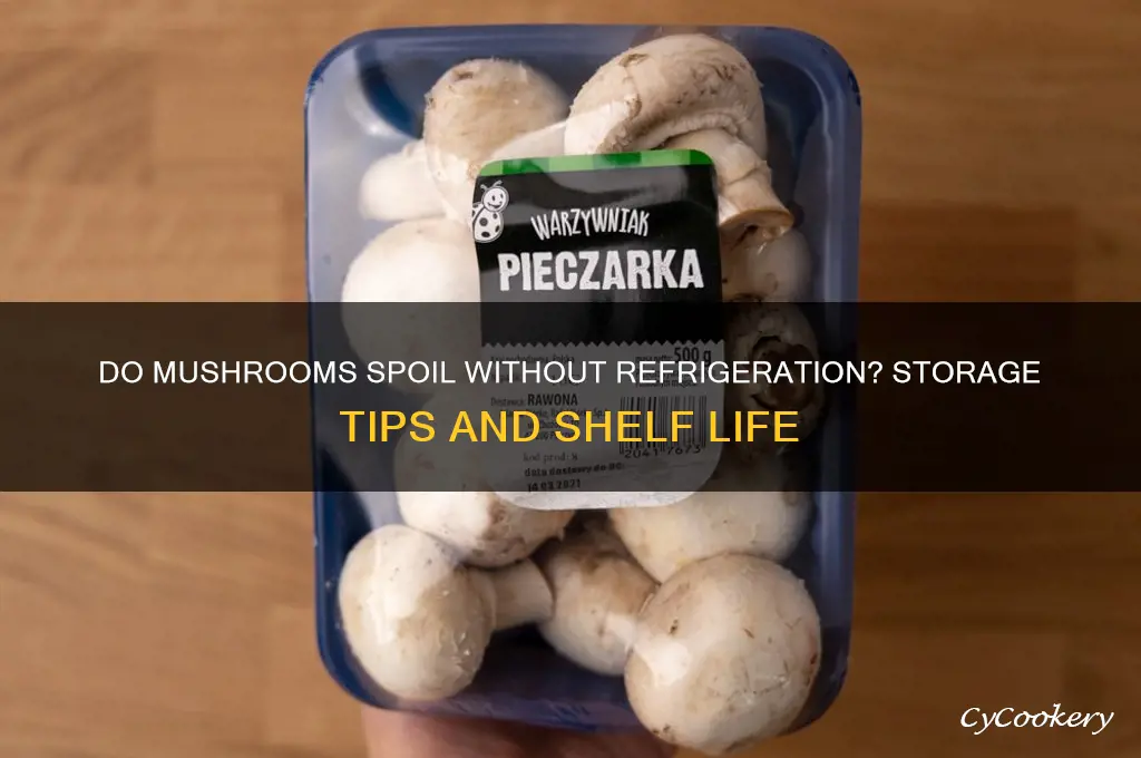 will mushrooms go bad if not refrigerated