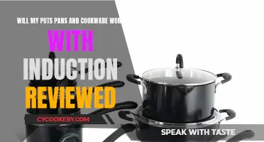 Pots, Pans, and Induction: Compatibility Reviewed