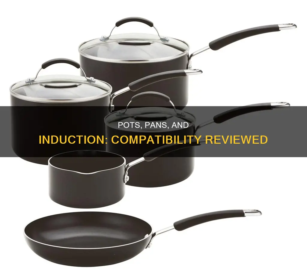 will my pots pans and cookware work with induction reviewed