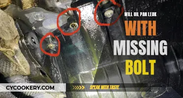 Oil Pan Leaks: Missing Bolt Culprit or Red Herring?