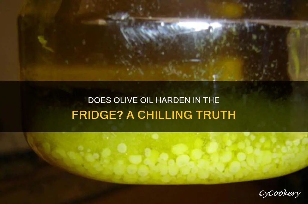 will olive oil solidify in the refrigerator