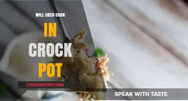 Can You Cook Orzo in a Crock Pot? Tips and Tricks