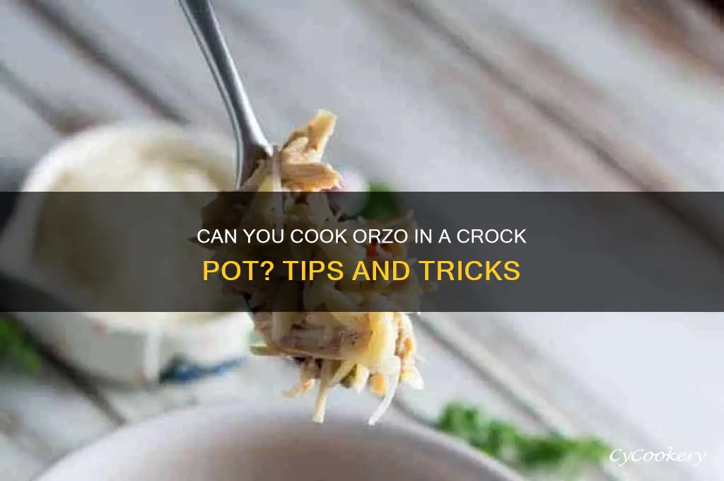 will orzo cook in crock pot