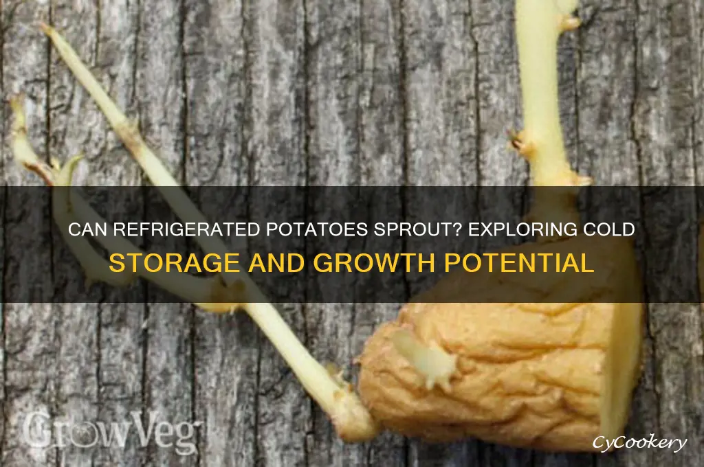 will potatoes tha have been refrigerated grow