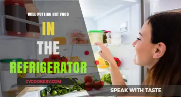Can You Safely Store Hot Food in the Refrigerator? Tips and Risks
