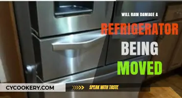 Can Rain Harm Your Fridge During Relocation? Expert Tips Inside