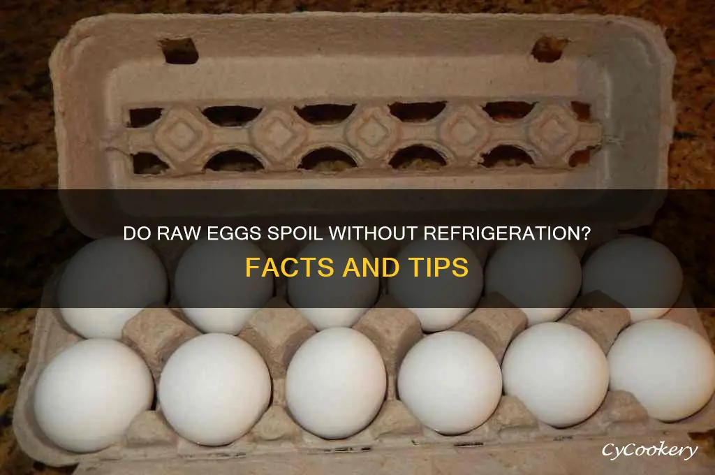 will raw eggs spoil if not refrigerated