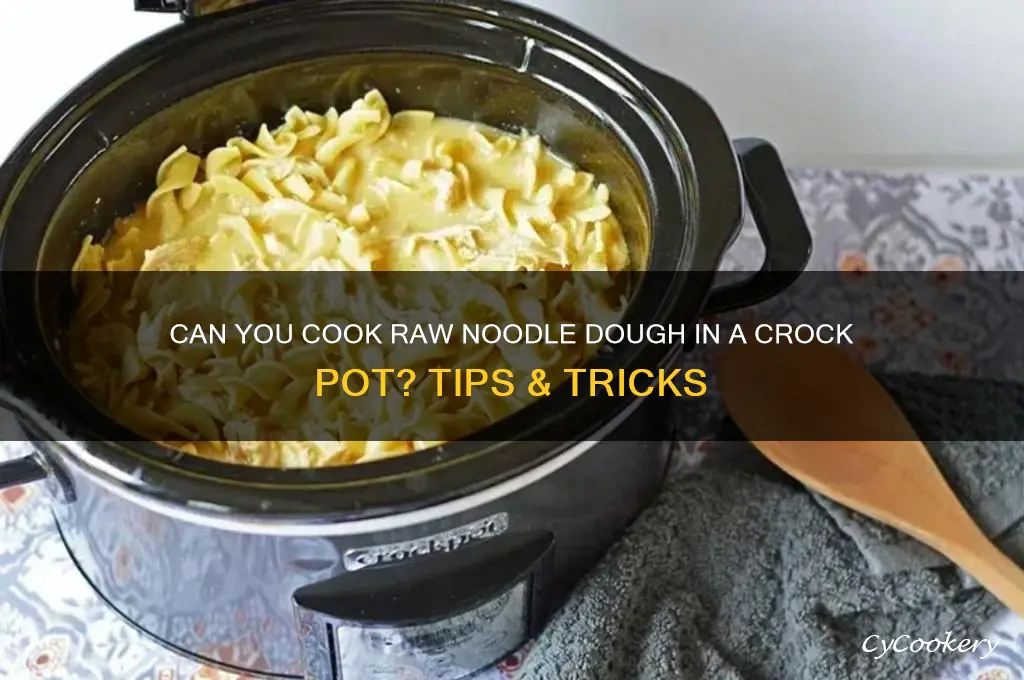 will raw noodle dough cook in a crock pot