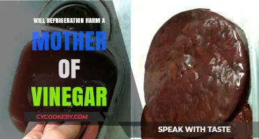 Refrigeration and Mother of Vinegar: Does Cold Storage Cause Harm?