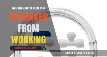 Refrigerator Filter Issues: Can It Disrupt Your Icemaker's Functionality?