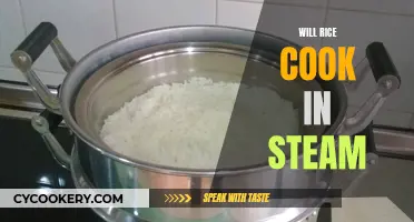 Steam Cooking Rice: Is It Possible?