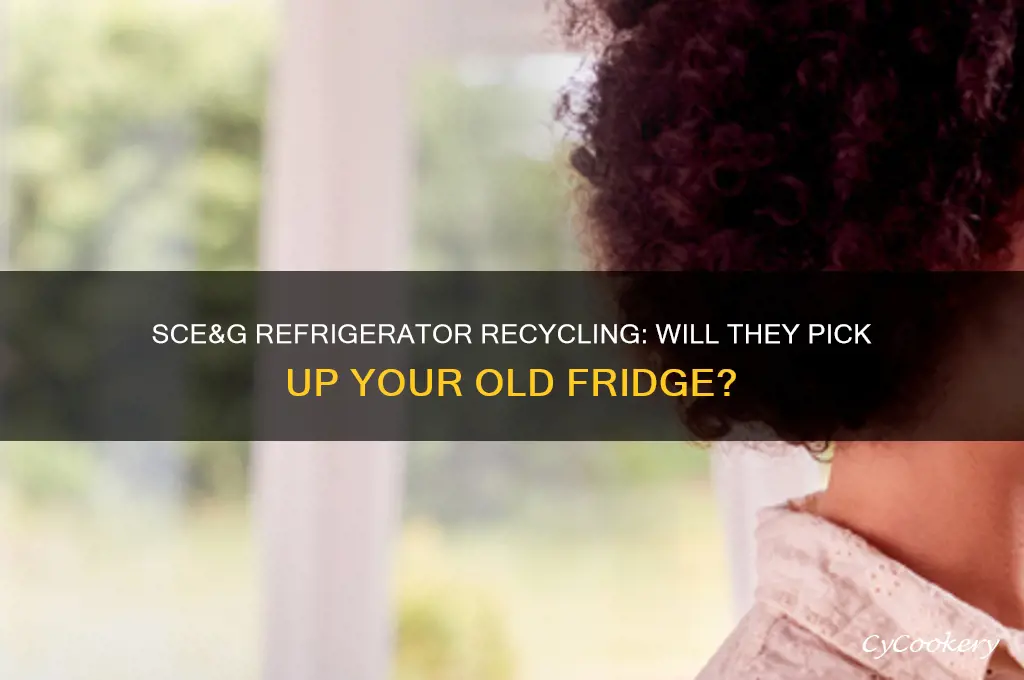 will sce&g pickup my old refrigerator
