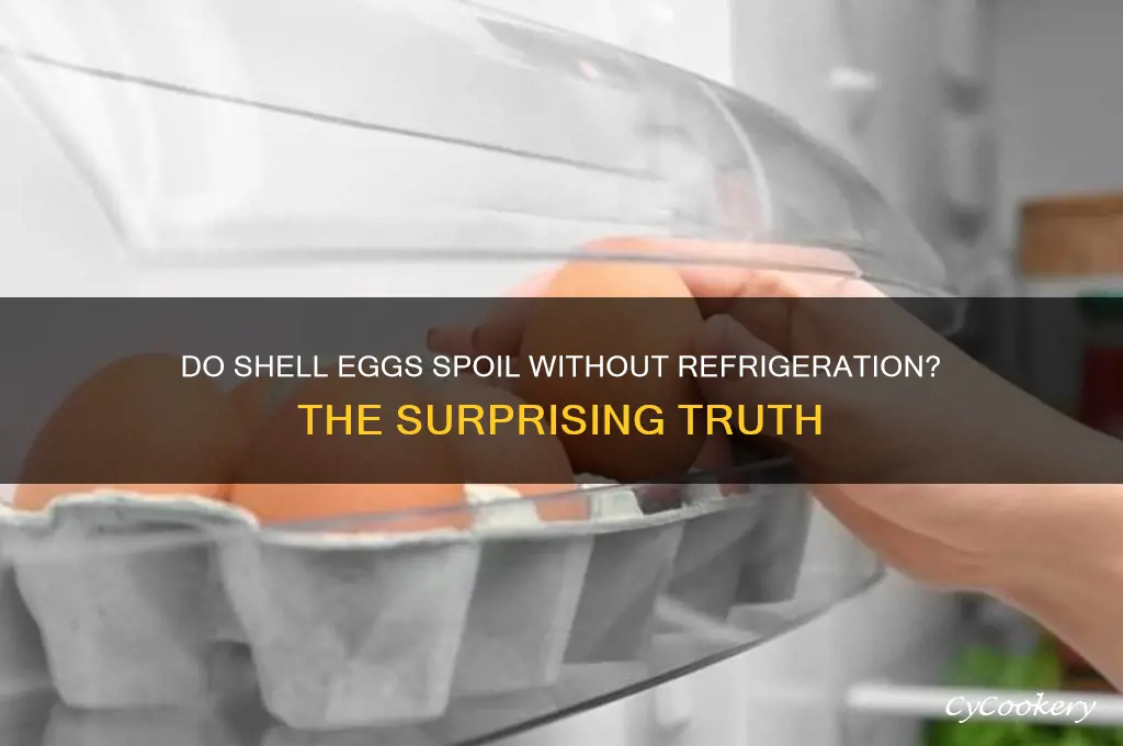 will shell eggs spoil if not refrigerated
