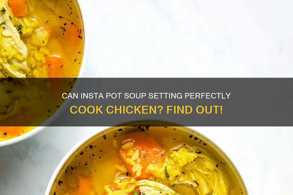 will soup function on insta pot cook chicken