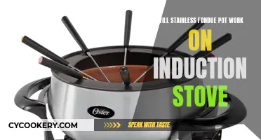 Stainless Fondue Pot and Induction Stove: A Perfect Match?