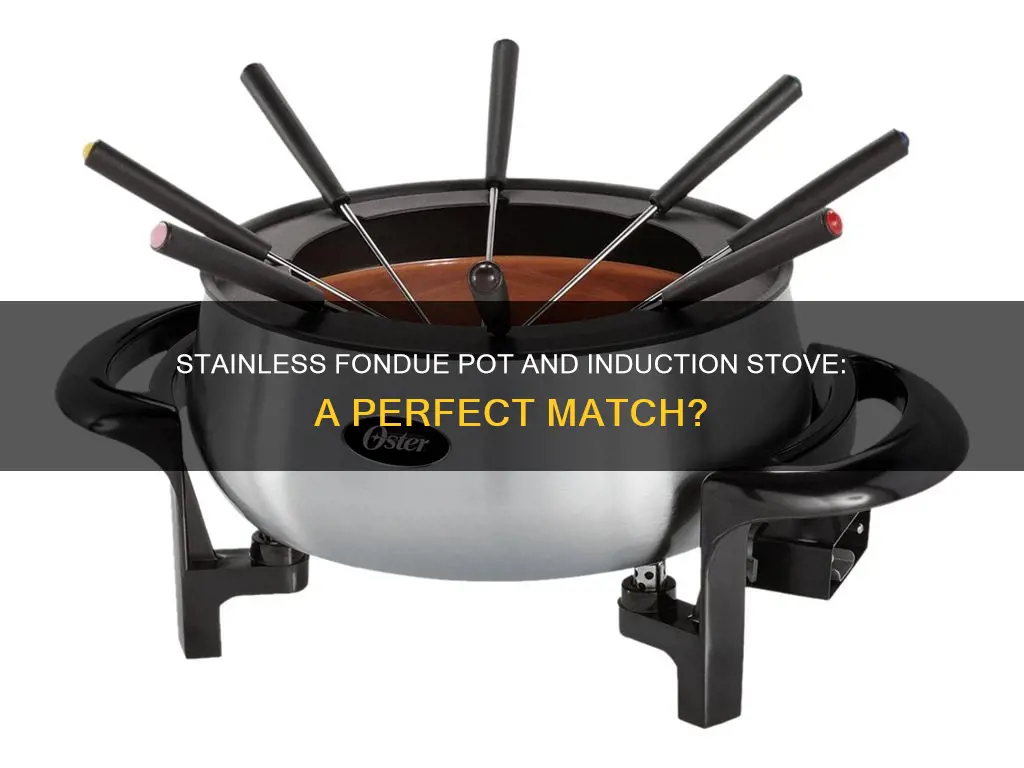 will stainless fondue pot work on induction stove