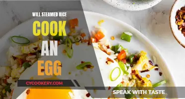 Steaming Mystery: Will Rice Cook an Egg?