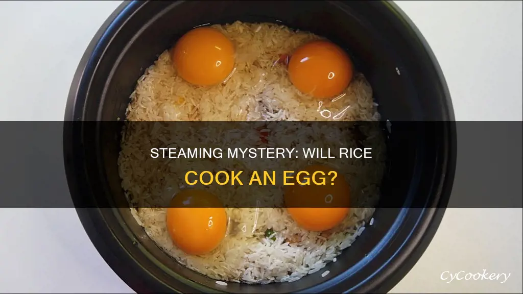 will steamed rice cook an egg