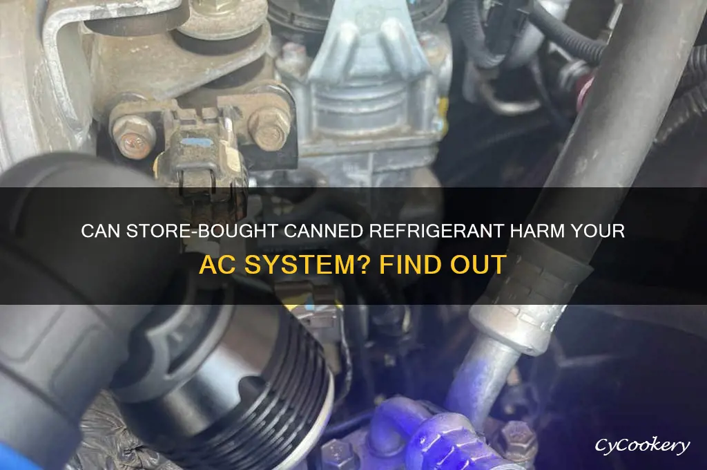 will store-bought canned refrigerant damage an ac system