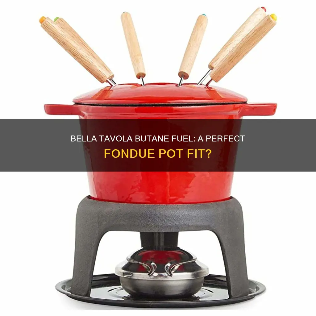 will the bella tavola butane fuel fit my fondue pot