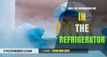Can Coronavirus Survive in Your Fridge? Debunking the Myth
