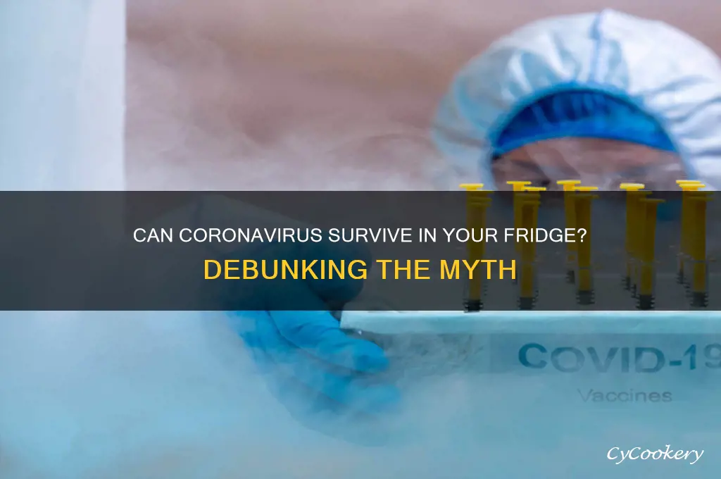 will the coronavirus die in the refrigerator