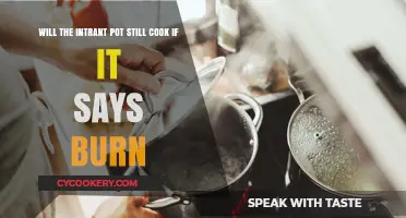 Instant Pot Burn Notice: Can Your Cooker Still Save Dinner?
