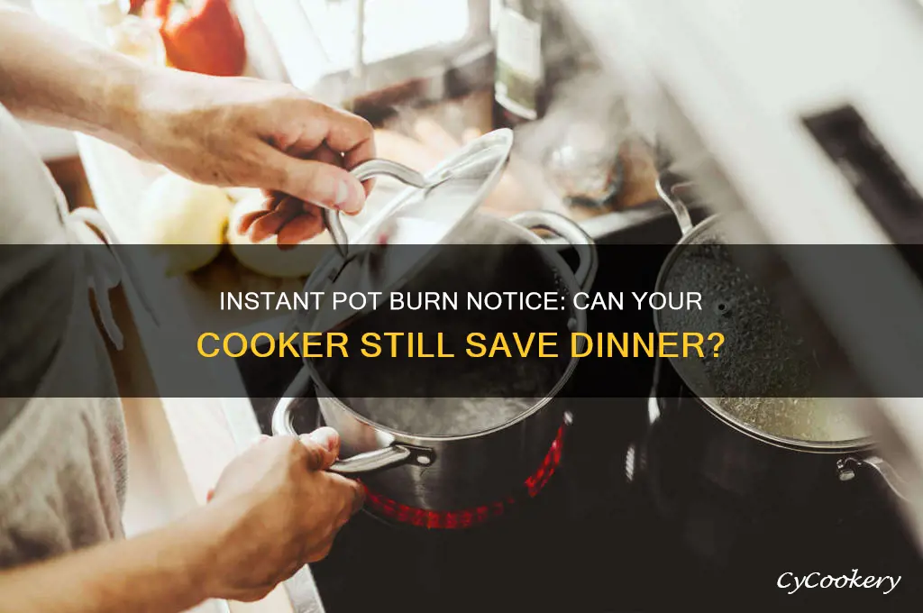 will the intrant pot still cook if it says burn