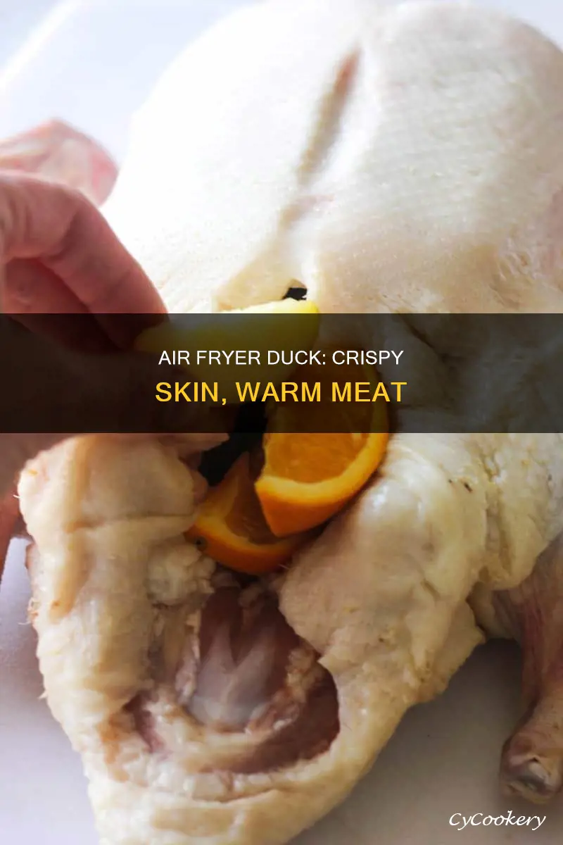 will warming duck up in air fryer make it crispy