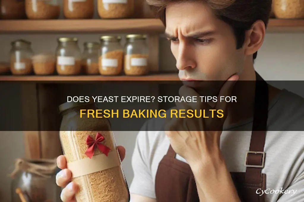 will yeast go bad if not refrigerated