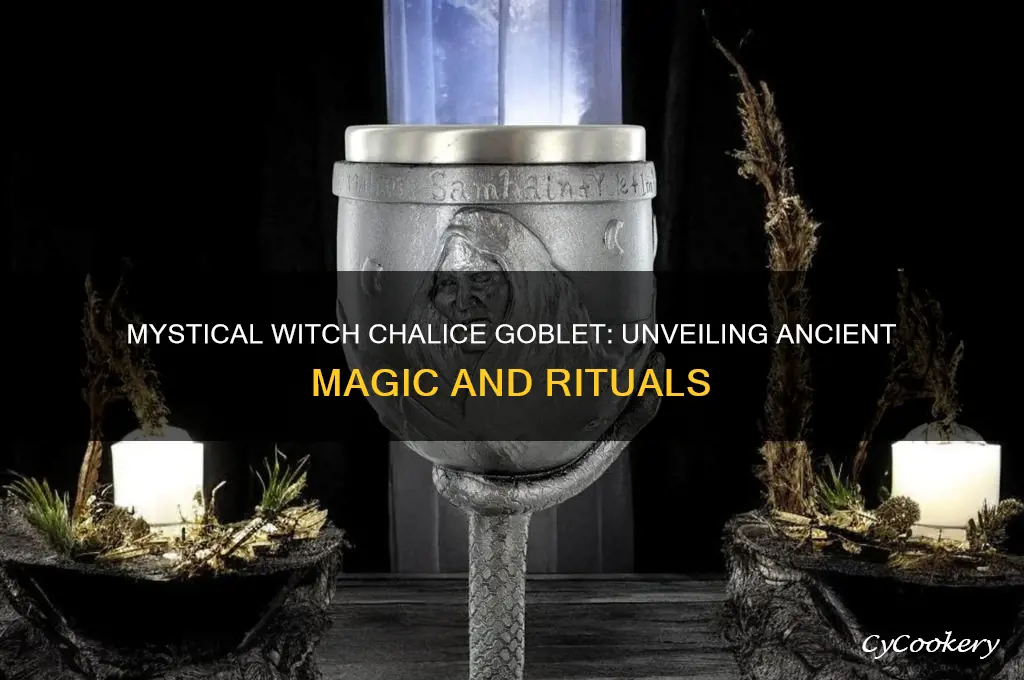 witch chalice goblet