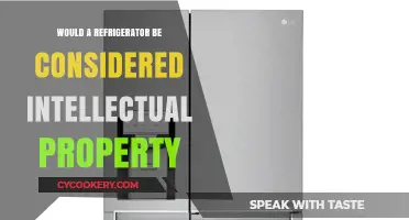 Is a Refrigerator Intellectual Property? Exploring IP Boundaries