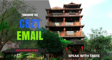 Yangshuo Tea Cozy: Crafting the Perfect Email Experience in China