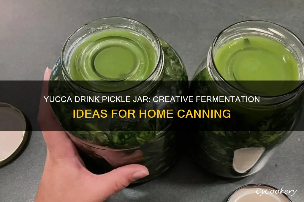 yucca drink pickle jar