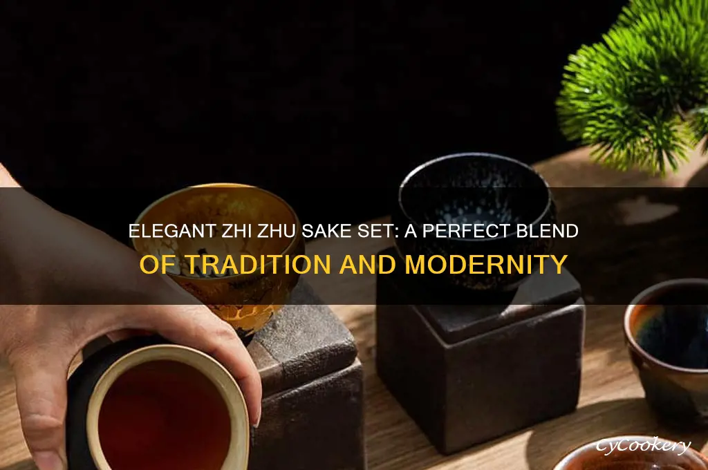 zhi zhu sake set